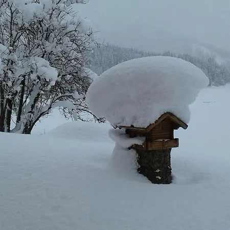 Appartamento Haus Kirchner *