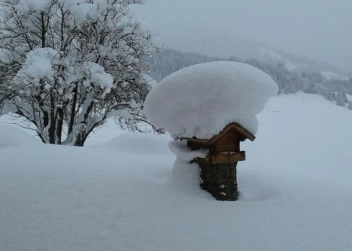 Apartmán Haus Kirchner *